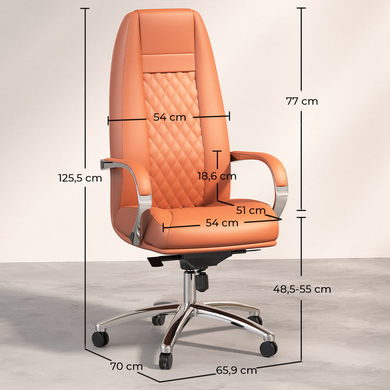 Chaise de bureau ergonomique avec roulettes et accoudoirs - Manga