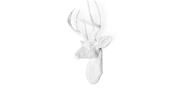 Wall Decoration - White Deer Head - Uka