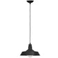 Plafondlamp - Hanglamp in industriële stijl - Flynn