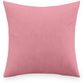 Rose pastel