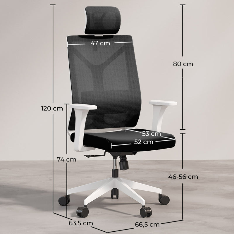 Chaise de bureau ergonomique avec roulettes et accoudoirs - Ergal