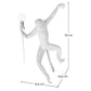 Wall Sconce - Monkey Design - Resin