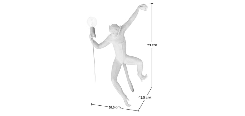 Applique Murale - Design Singe - Resina