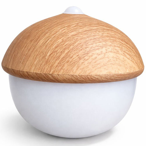 Table Lamp USB Rechargeable LED with Touch Sensor – Warm Light – Acorn