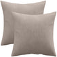 Set of 2 velvet cushions - cover and filling - Mesmal