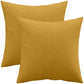 Lot de 2 coussins en velours - housse et rembourrage - Mesmal