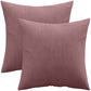 Set of 2 velvet cushions - cover and filling - Mesmal