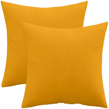 Lot de 2 coussins en velours - housse et rembourrage - Mesmal