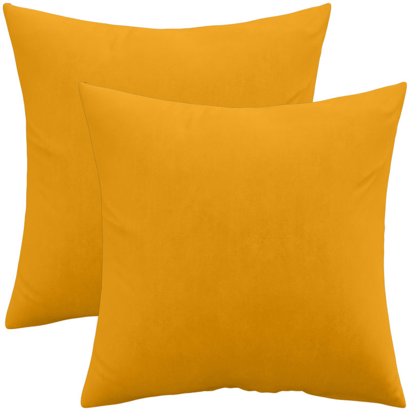Lot de 2 coussins en velours - housse et rembourrage - Mesmal