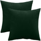 Set of 2 velvet cushions - cover and filling - Mesmal