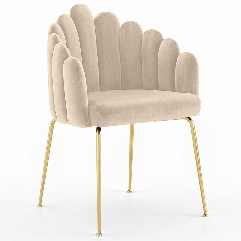 Chaise de salle à manger Shell design Glam en velours - Pieds dorés - Shell