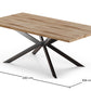 Pack Table à manger design en bois (200cm) & 8 Chaises à manger en rotin - Tapisserie en velours - Martha