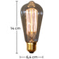 Vintage Edison Bulb- Squirrel - Dimensions diagram