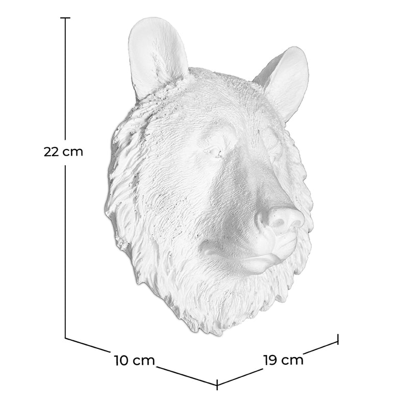 Wall Decoration - White Bear Head - Uka - Dimensions diagram
