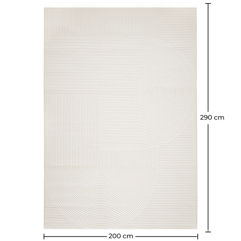 Rug Large Contemporary Modern Design - Beige (290x200 cm) - Vreis - gallery 5