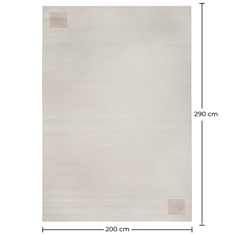 Rug Large Contemporary Modern Design - Beige (290x200 cm) - Cyru - gallery 5