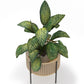 Round Floor Planter - Boho Style - Fusión - gallery 5
