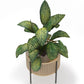 Round Floor Planter - Boho Style - Fusión - gallery 5
