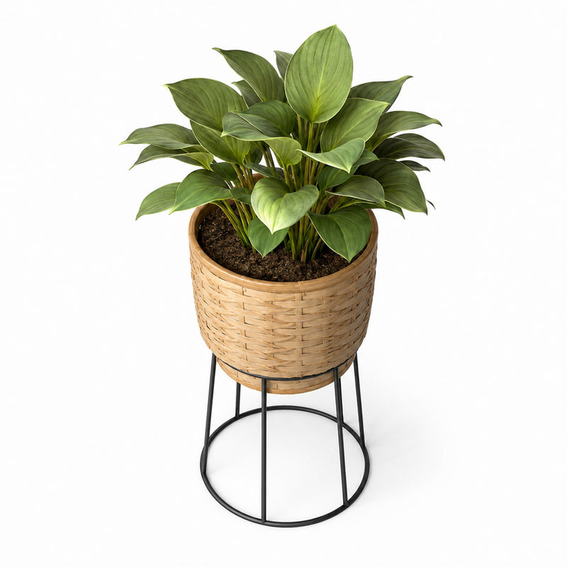 Ronde plantenbak voor op de vloer - bohemien ontwerp - Aventura