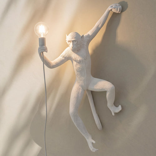 Lámpara de pared colgante diseño Simian - Resina